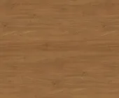 1220837.png