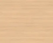 1701179.png