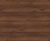 1704688.png