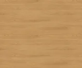 1881129.png