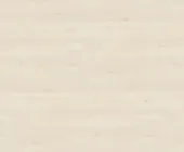1881679.png