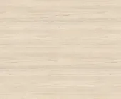 1881698.png